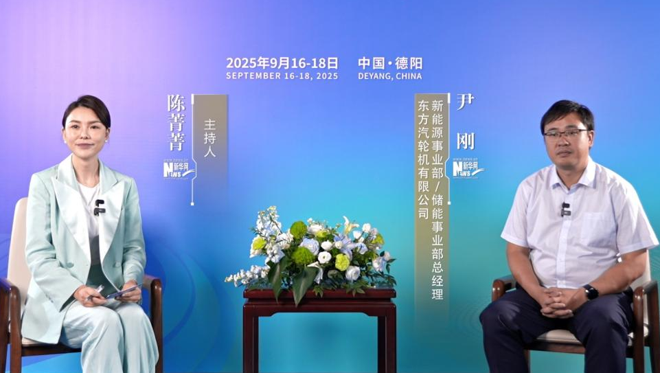 尹剛：以“風(fēng)光”為主的新能源發(fā)展要依托儲能去提高消納能力和收益空間