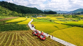 攻堅克難再奮進(jìn)&mdash;&mdash;透視2021年中國經(jīng)濟答卷