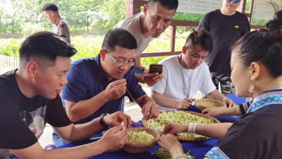 走出島內&ldquo;悶經(jīng)濟&rdquo;困境，&ldquo;登陸&rdquo;成重要選擇