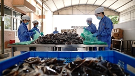 中醫藥發(fā)揮獨特優(yōu)勢&ldquo;防、治、康&rdquo;全程助力抗疫