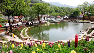 休閑、教育、養老&hellip;&hellip;&ldquo;三農&rdquo;變化之農業(yè)新功能