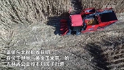 吉林：&ldquo;無(wú)人農場(chǎng)&rdquo;實(shí)現玉米無(wú)人自動(dòng)收割
