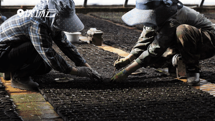 萬(wàn)象&ldquo;耕&rdquo;新！碼住人間四月天