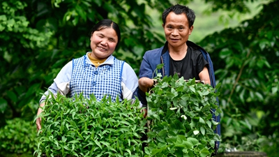 你是我的眼，我是你的手