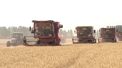 種糧大戶(hù)的“豐收密碼”