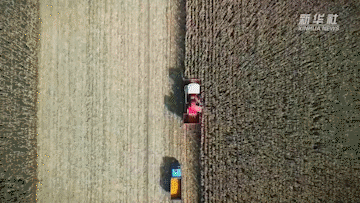 吉林:機械化水平提升 農民告別“手掰”苞米