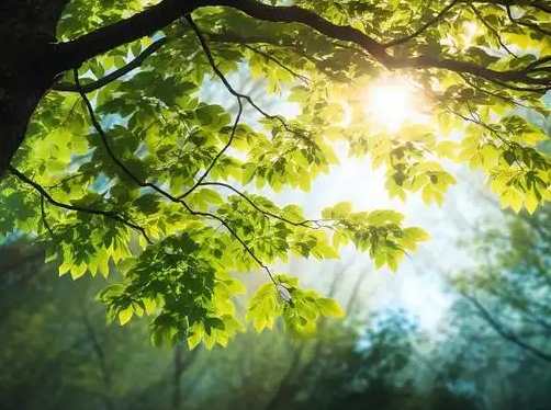 “守護心‘晴’——全民心理健康服務(wù)行動(dòng)”落地江西安遠