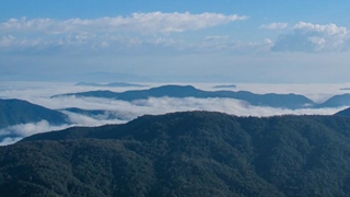 擦亮&ldquo;北回歸沙漠帶上的綠寶石&rdquo;