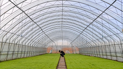 &ldquo;確保土地不撂荒&rdquo;&mdash;&mdash;吉林黑土地上春耕見(jiàn)聞