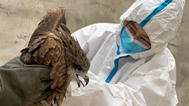 &ldquo;給動(dòng)物一個(gè)溫暖的家，用愛(ài)照亮前行的路&rdquo;