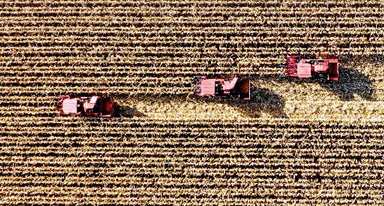 非凡十年｜吉林：加快推動(dòng)全面振興、全方位振興