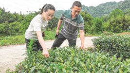 杜富國的妹妹杜富佳：大山里的&ldquo;帶貨書(shū)記&rdquo;