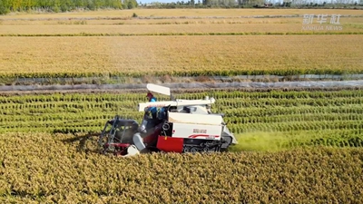 &ldquo;95后&rdquo;新農人：在希望的田野上&ldquo;播種&rdquo;夢(mèng)想