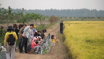 田園變&ldquo;游園&rdquo;，活力鄉村引客來(lái)