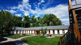 黑龍江寧安：大學(xué)生返鄉創(chuàng  )業(yè)助力縣域經(jīng)濟發(fā)展