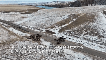 新疆昭蘇:千年牧道見(jiàn)證轉場(chǎng)新變化