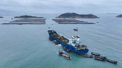 &ldquo;南北轉場(chǎng)&rdquo;助力鮑魚(yú)養殖提升效益