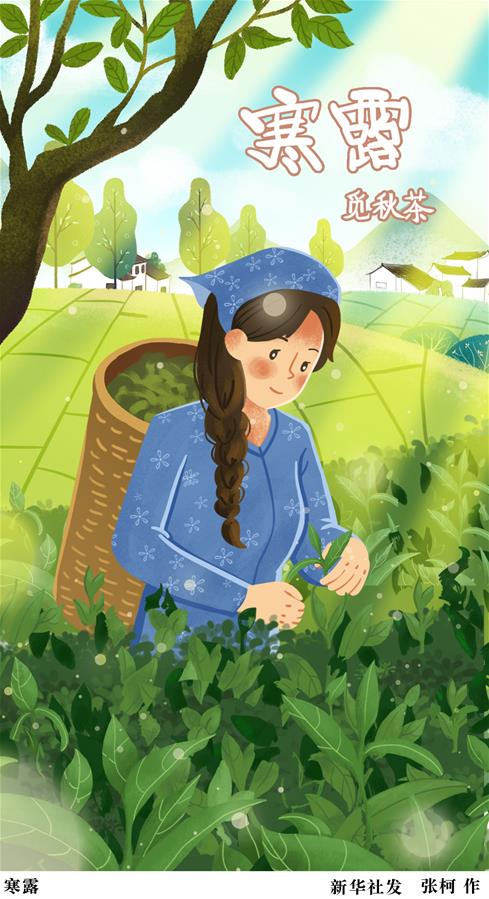 （圖表&middot;插畫(huà)）［二十四節氣&middot;寒露］寒露（二）