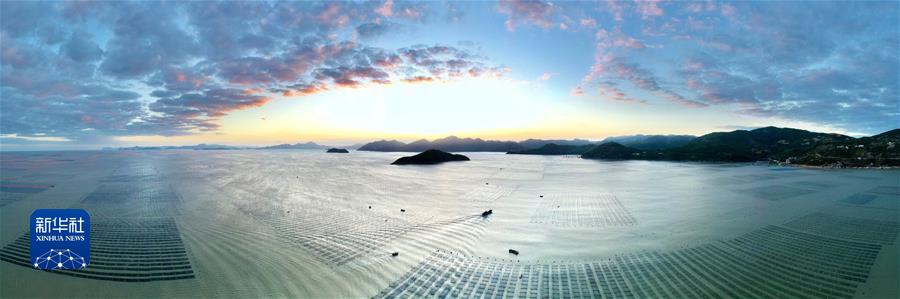 （鏡觀(guān)中國&middot;新華社國內新聞?wù)掌恢芫x）（5）福建海上紫菜秋收忙