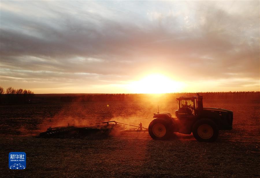 （鏡觀(guān)中國&middot;新華社國內新聞?wù)掌恢芫x）（11）&ldquo;北大倉&rdquo;豐收色彩 
