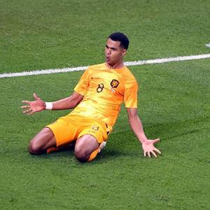  （卡塔爾世界杯）足球&mdash;&mdash;A組：荷蘭戰勝塞內加爾