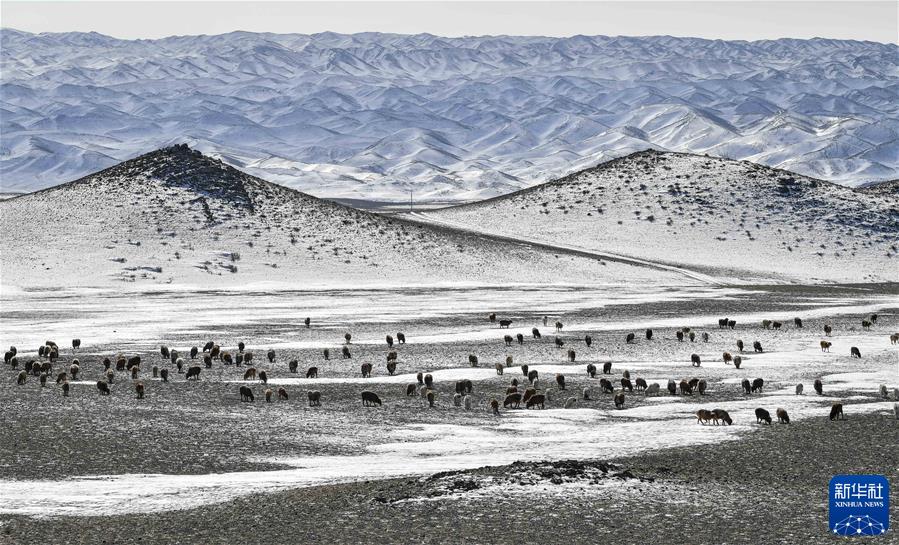 （鏡觀(guān)中國&middot;新華社國內新聞?wù)掌恢芫x）（3）深山牧歌新聲