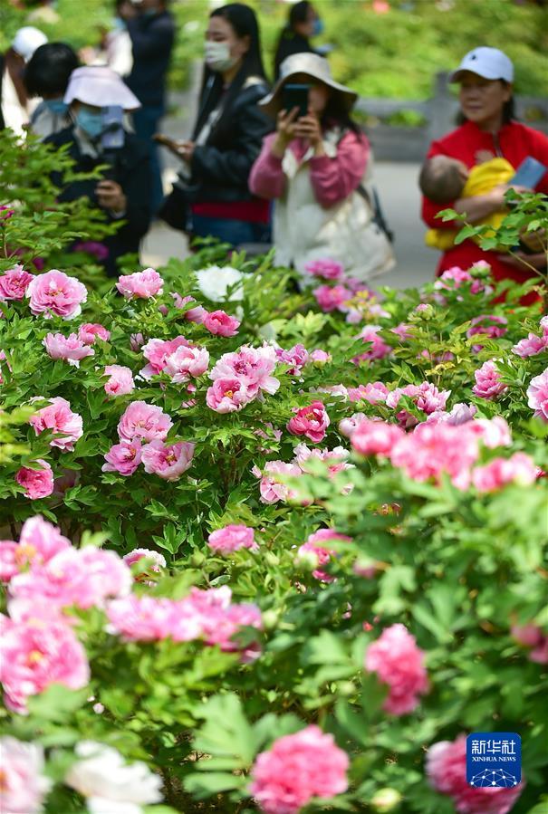 #(社會(huì ))(7)擁抱春天 樂(lè )享春光