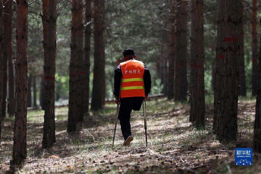（鏡觀(guān)中國&middot;新華社國內新聞?wù)掌恢芫x）（3）29年的守護 只為一片林海