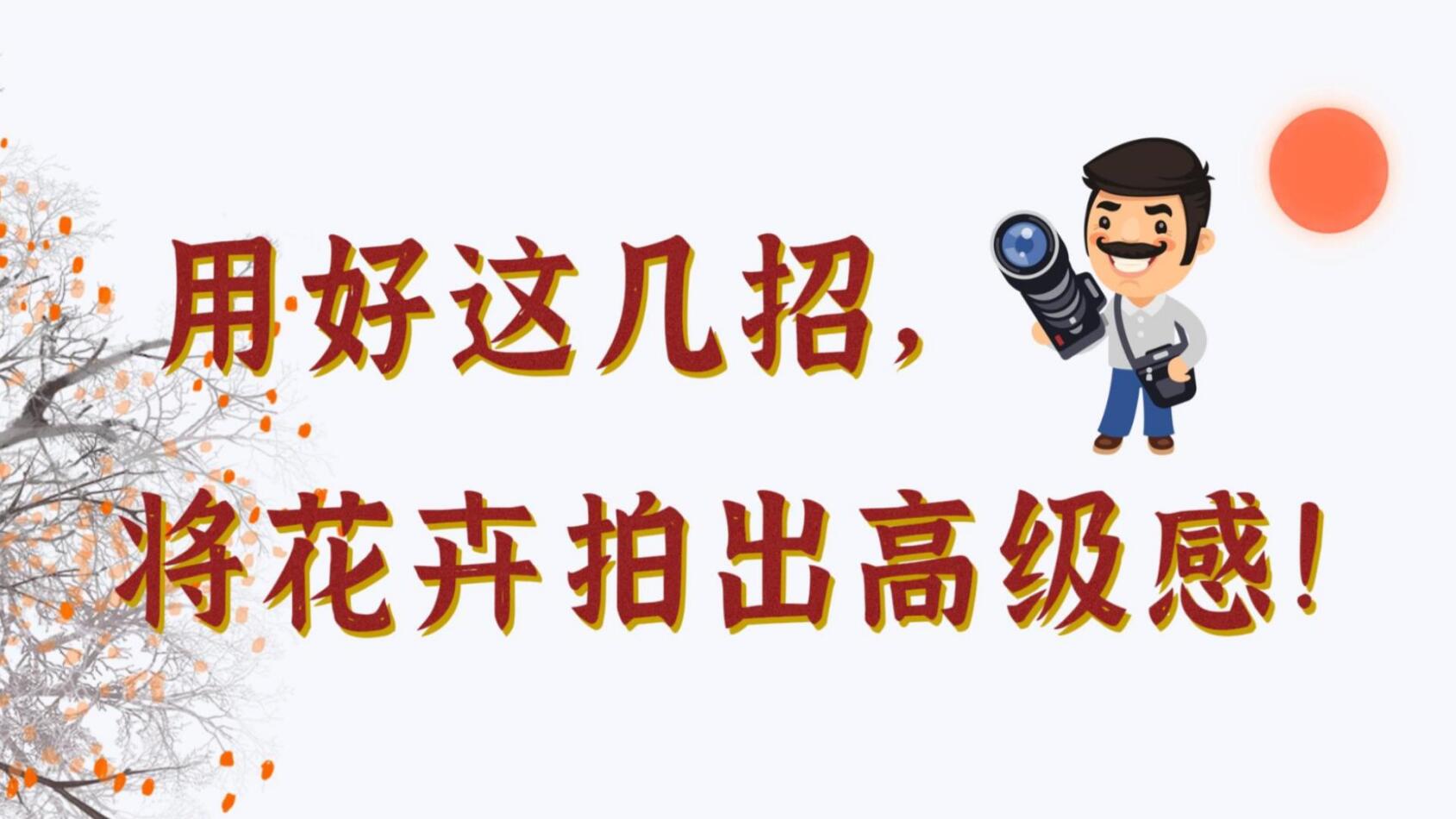 【光影輕課堂】用好這幾招，將花卉拍出高級感！