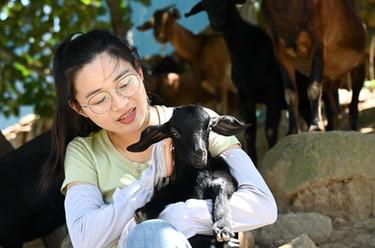 新華全媒+｜海島女&ldquo;羊倌&rdquo;的返鄉創(chuàng  )業(yè)夢(mèng)