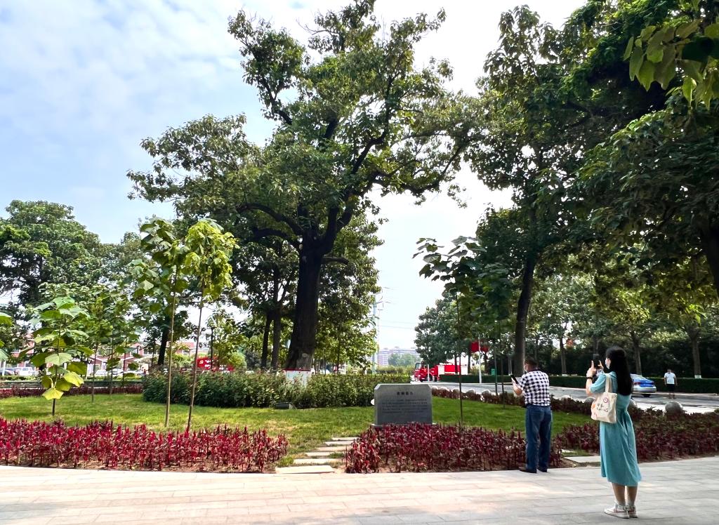 焦裕祿精神，一座永不磨滅的豐碑！