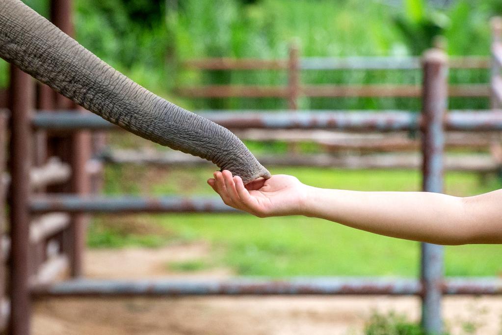 國際&middot;一周看天下
