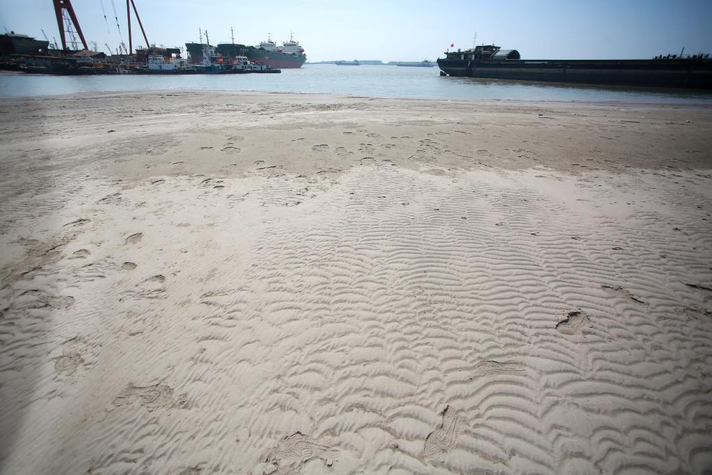 長(cháng)江江都段現&ldquo;汛期反枯&rdquo;水情