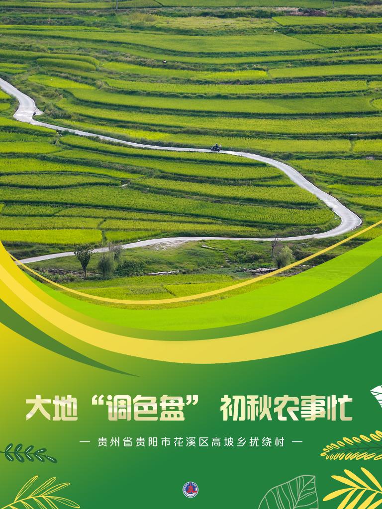 新華全媒+丨大地&ldquo;調色盤(pán)&rdquo; 初秋農事忙