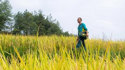 新華全媒+丨重慶酉陽(yáng)：村郵站打通農村物流最后一公里