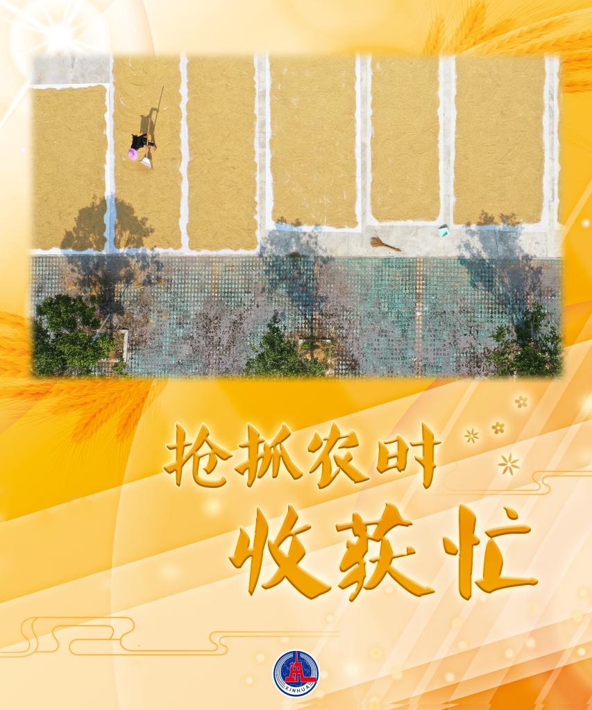 新華全媒+丨搶抓農時(shí)收獲忙