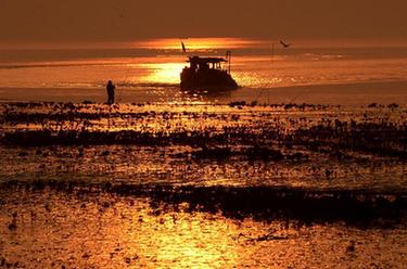 鏡觀(guān)中國&middot;新華社國內新聞?wù)掌恢芫x