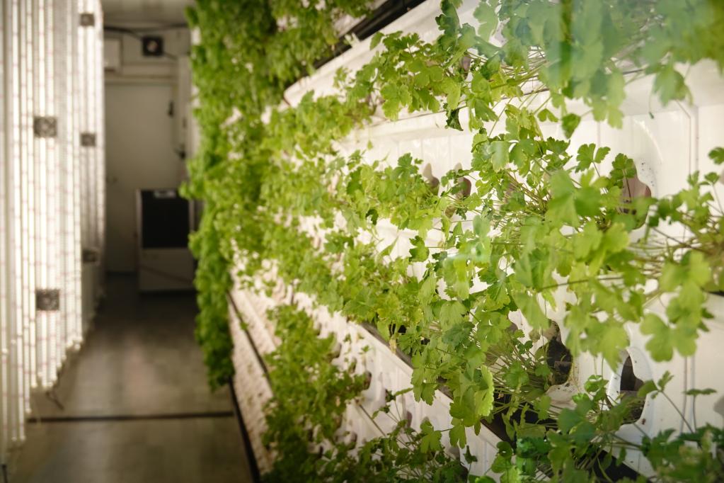 以色列：城市里的&ldquo;垂直農場(chǎng)&rdquo;