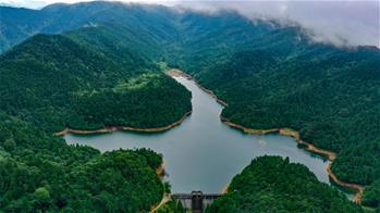江河奔騰看中國丨綠色閩江 清新福建