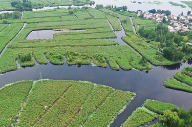 鏡頭里的十年&middot;奔向美好丨雄安，&ldquo;未來(lái)之城&rdquo;拔節生長(cháng)