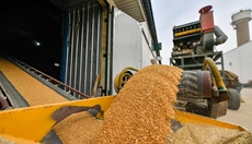 新華全媒+丨大數據監控 內環(huán)流控溫&mdash;&mdash;科學(xué)儲糧守好&ldquo;大國糧倉&rdquo;