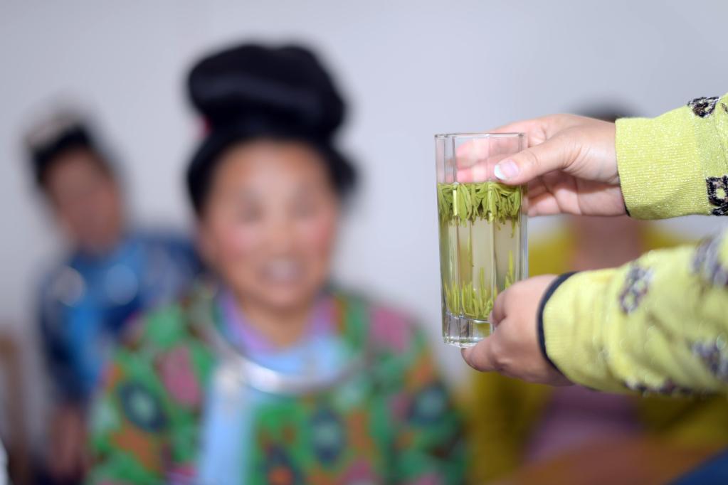 貴州丹寨：茶技培訓正當時(shí)