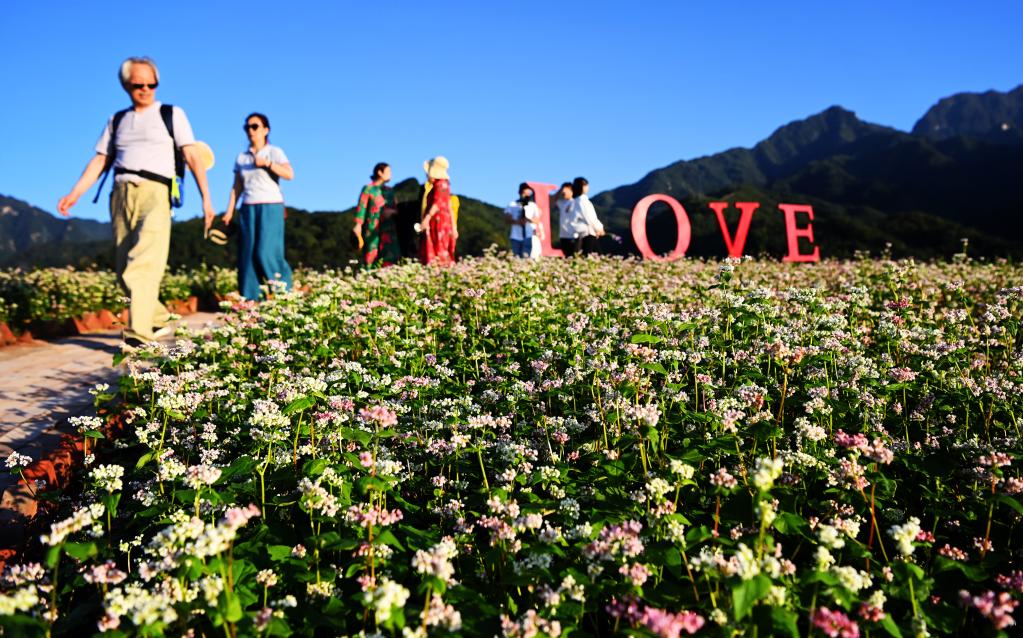 新華全媒+丨西安：發(fā)展&ldquo;農業(yè)景區&rdquo; 助力鄉村振興