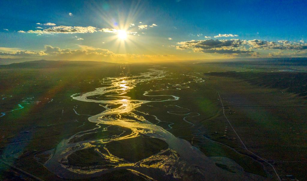 (新華全媒+)濕地之美丨青海湖濕地