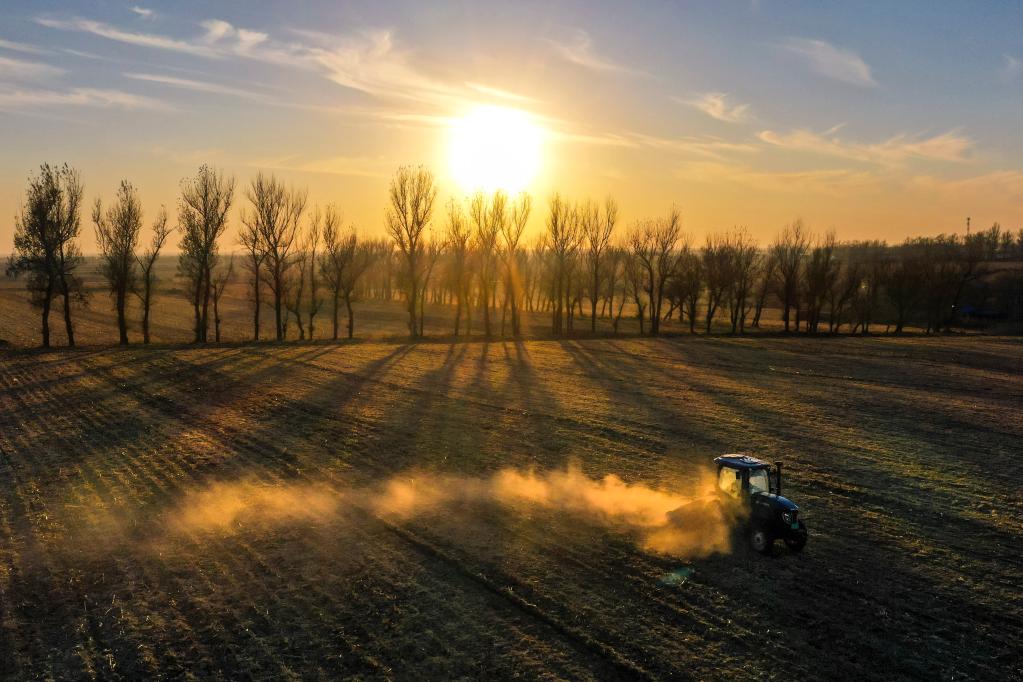 新華全媒+|吉林:秋糧收儲進(jìn)行時(shí) “翻地越冬”備明春