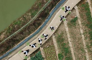 &ldquo;校園農場(chǎng)&rdquo;體驗豐收農忙