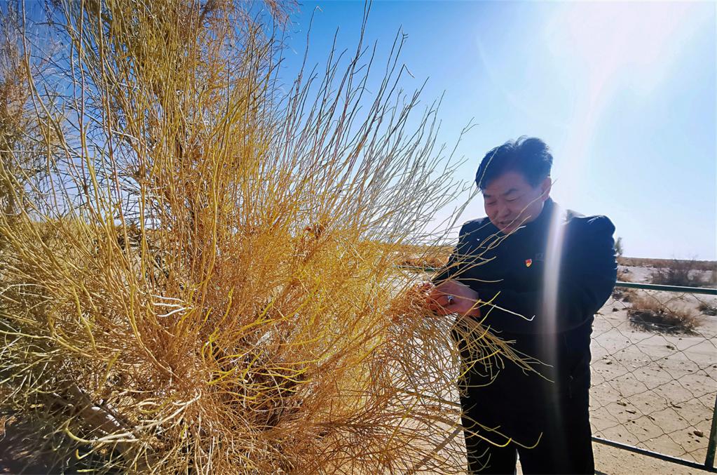 內蒙古烏拉特草原牧民:守護北疆綠色生態(tài)屏障