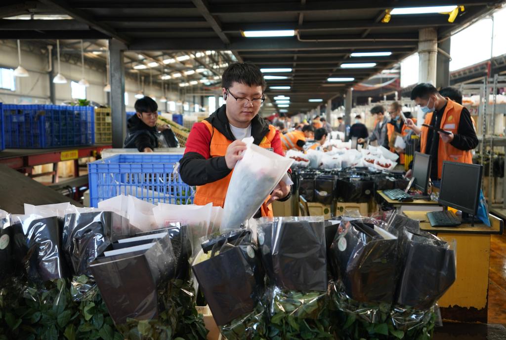 新華全媒+丨云南昆明:“雙11”鮮花俏銷(xiāo)