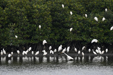 大美濕地城市丨?？? /></a></p>
<p class=