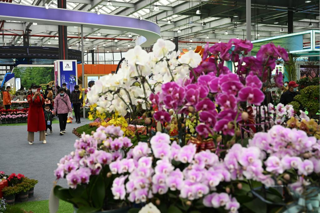 安徽合肥：&ldquo;苗交會(huì )&rdquo;引客來(lái)